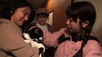 「土曜☆ブレイク『保護にゃんハウス』」のワンシーン。
