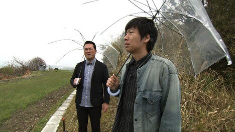 藤崎マーケット (c)MBS