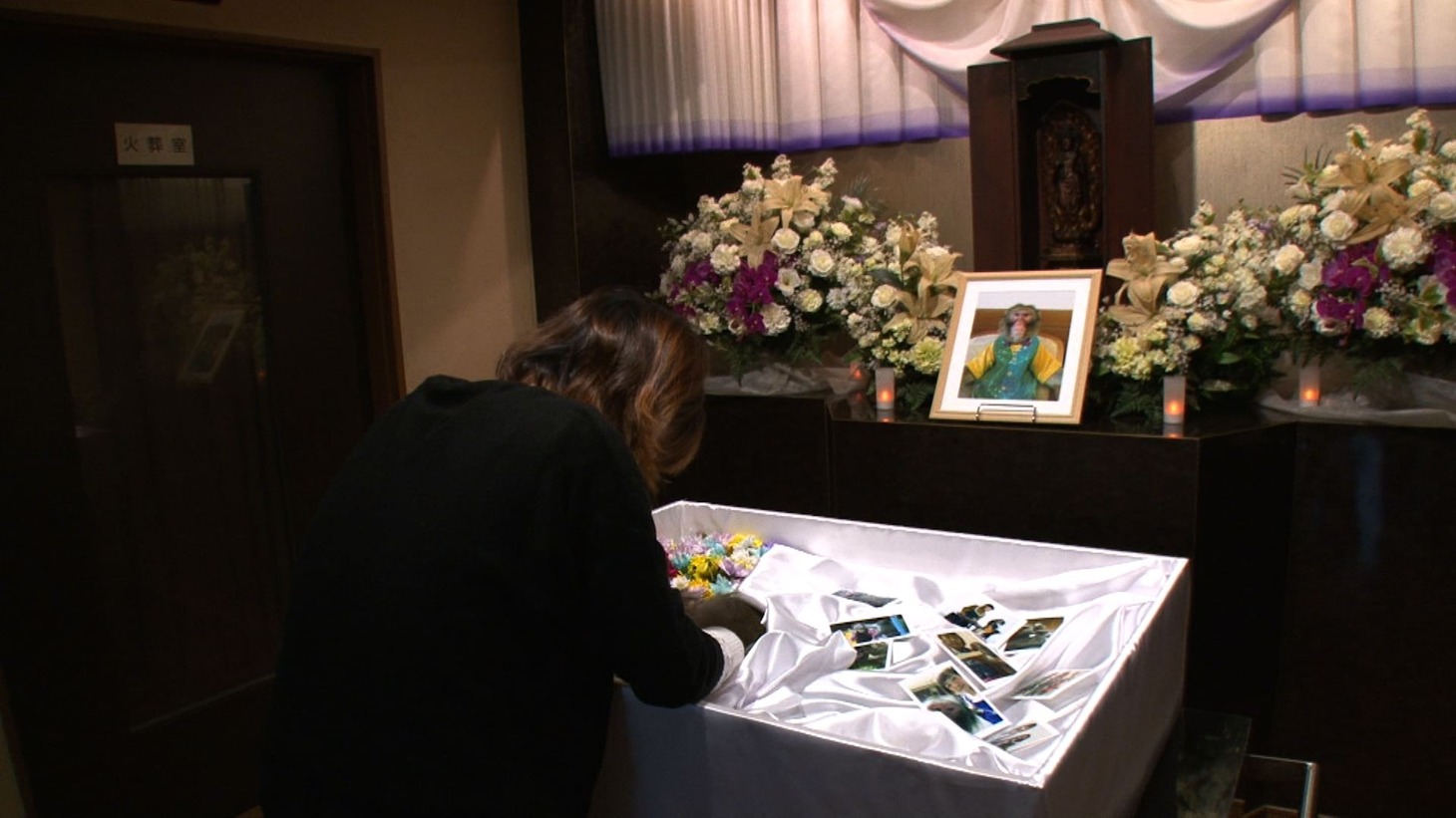 「天才！志村どうぶつ園」のワンシーン。(c)日本テレビ