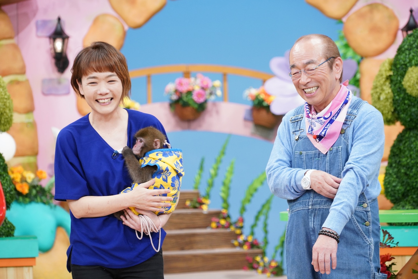 「天才！志村どうぶつ園」のワンシーン。(c)日本テレビ