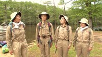 「大島探検隊 with 木村佳乃 in アメリカ」のワンシーン。(c)日本テレビ