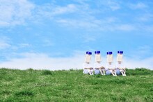 SALTY'sの新しいアーティスト写真。