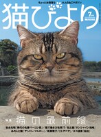 「猫びより」2019年7月号の表紙。