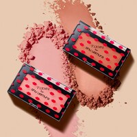 「naomi for shu uemura コレクション」製品イメージ
