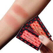 「naomi for shu uemura コレクション」製品イメージ