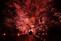 今年4月から5月にかけて開催された「チックタック～光る絵本と光る満願寺展～」の様子。