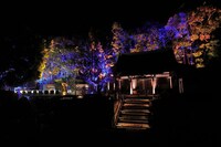 今年4月から5月にかけて開催された「チックタック～光る絵本と光る満願寺展～」の様子。