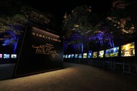 今年4月から5月にかけて開催された「チックタック～光る絵本と光る満願寺展～」の様子。