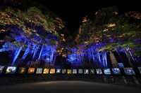 今年4月から5月にかけて開催された「チックタック～光る絵本と光る満願寺展～」の様子。