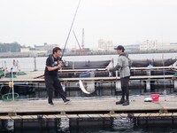 左から加藤浩次、山口一郎。(c)日本テレビ