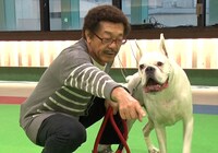 「ポンコツ飼い主」のコーナーに登場する具志堅用高。(c)テレビ東京