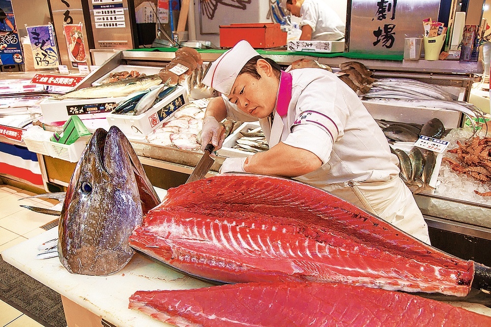 マグロ解体ショーのイメージ。