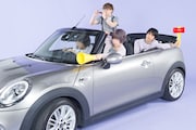 ポルカドットスティングレイ