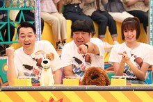 （左から）バナナマン、佐藤栞里。(c)フジテレビ
