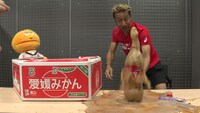 「やる気！元気！森脇チャンネル」で公開された動画より。