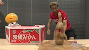 「やる気!元気!森脇チャンネル」で公開された動画より。