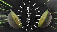 動画「半（パ）カットメロン侍が斬る！」より。