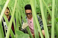 「満天☆青空レストラン」のワンシーン。(c)日本テレビ