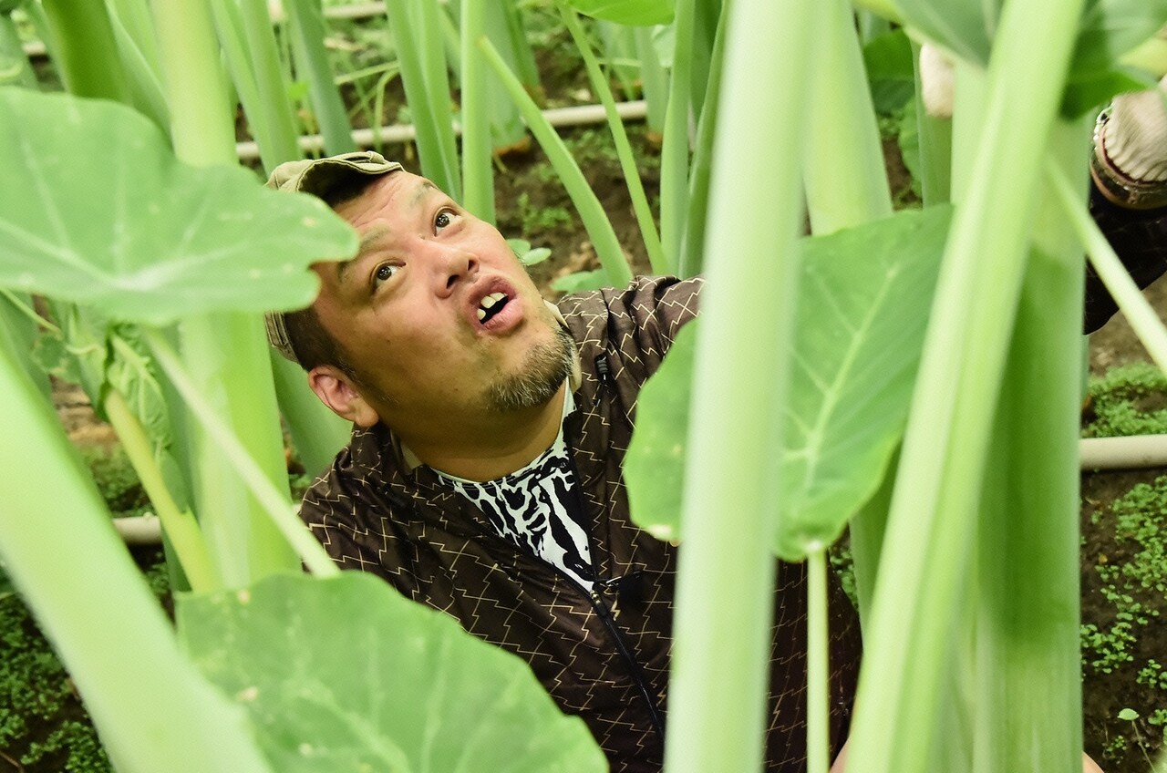 野性爆弾「青空レストラン」で巨大な食材に囲まれる