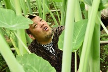 野性爆弾くっきー (c)日本テレビ