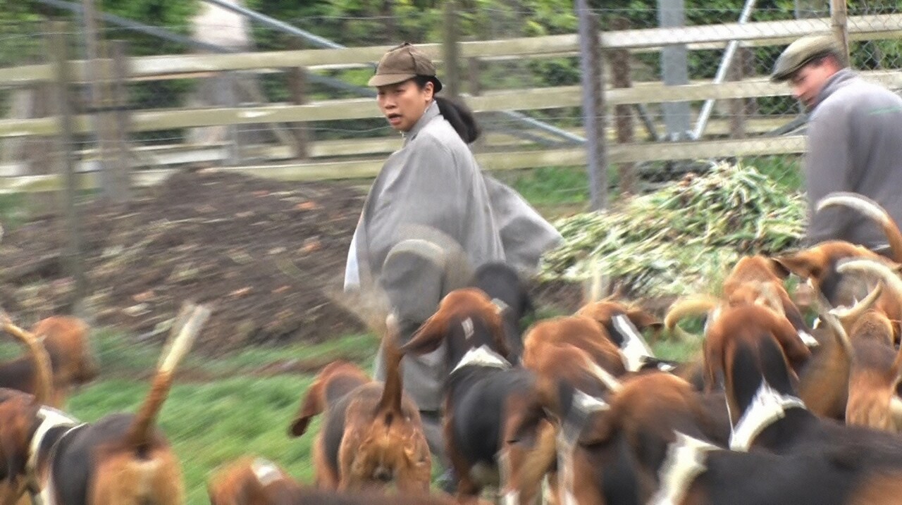 たくさんの犬がいる城とは？いとうあさこ、フランス＆ドイツでミステリーツアー