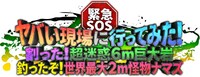 「緊急SOS！ヤバい現場に行ってみた！」ロゴ (c)テレビ東京