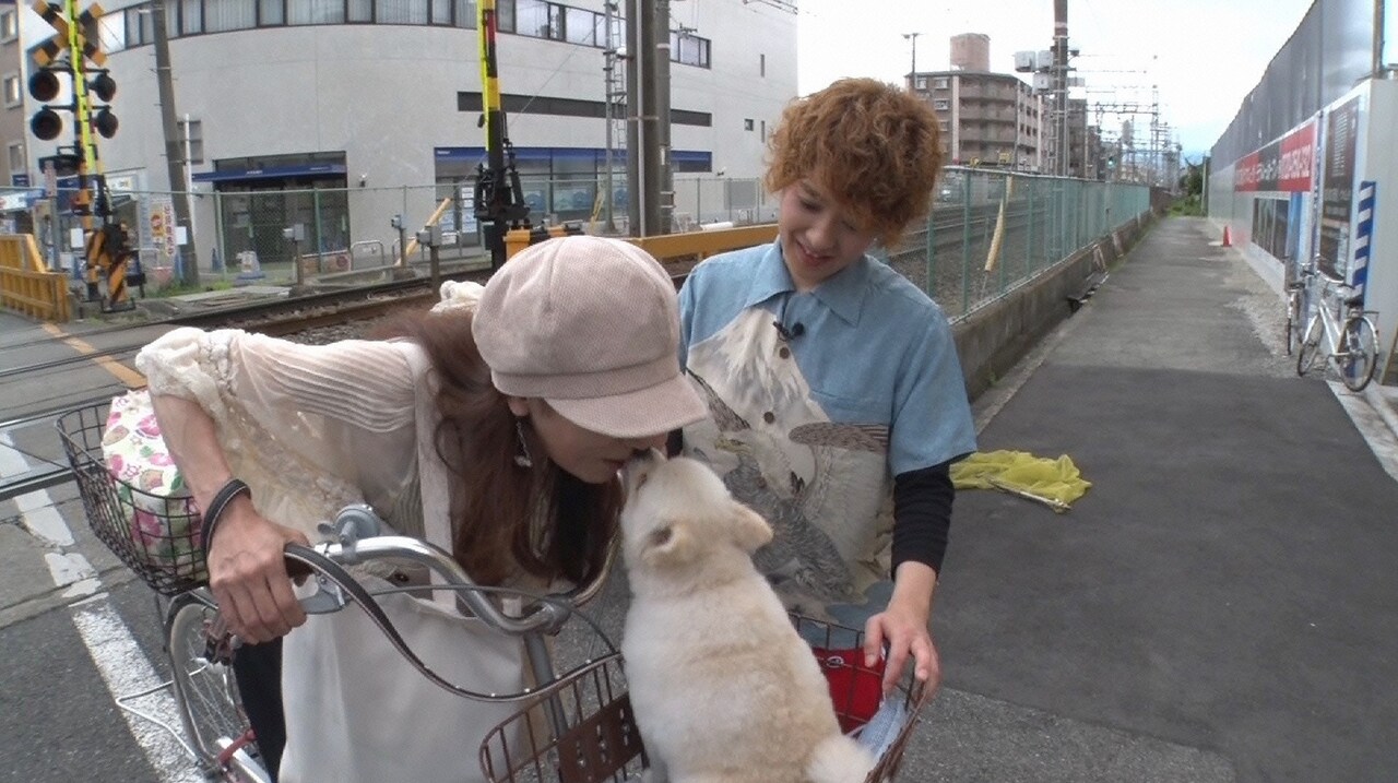 「ガリゲル」のワンシーン。(c)読売テレビ