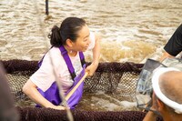 「満天☆青空レストラン」のワンシーン。(c)日本テレビ