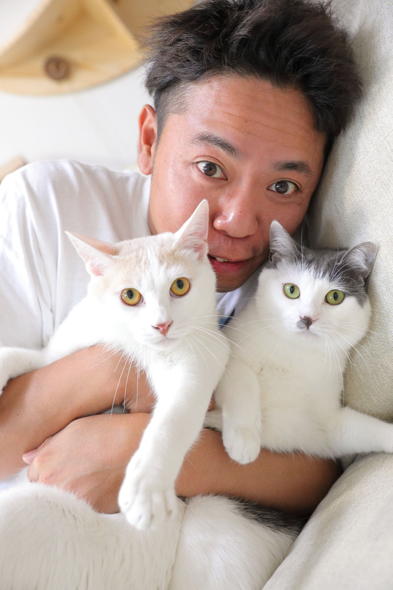 サンシャイン池崎と愛猫のらいちゃん（左）、ふうちゃん（右）。