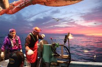 スピードワゴン井戸田によるロケの様子。(c)テレビ岩手