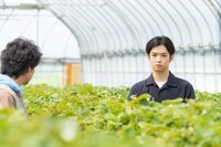 「TBCテレビ60周年記念ドラマ『小さな神たちの祭り』」(c)TBC東北放送