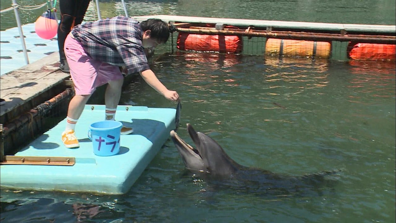 大興奮のせいやと冷めた粗品「あてみなげ」水族館ロケ、初のゲストも