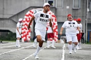 どぶろっく森