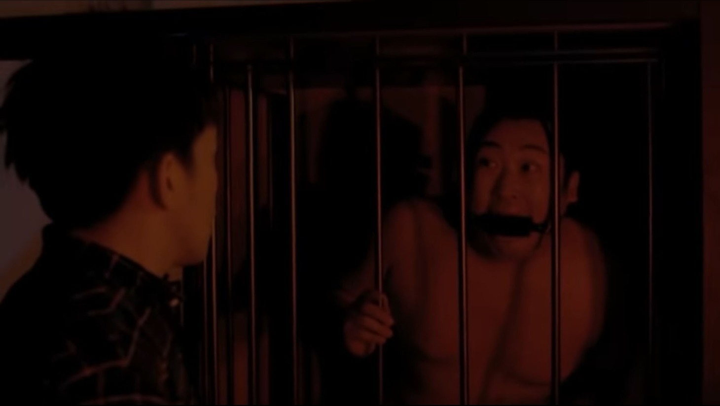 「モルモット」より。