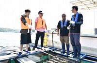 「満天☆青空レストラン」のワンシーン。(c)日本テレビ