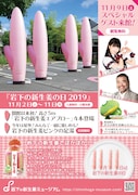 イベント「岩下の新生姜の日2019」のチラシ。