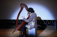 ハープを奏でる高佐。