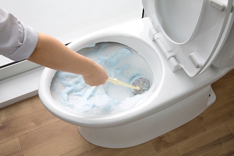 「びっくり抗菌トイレクリーナーDX サトミツ棒」