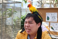 「冒険発掘バラエティ 霜降り明星のあてみなげ」より。(c)静岡朝日テレビ