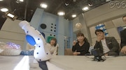 今回のモノさんは水玉カル子。