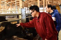 「満天☆青空レストラン」のワンシーン。(c)日本テレビ