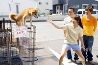 「モヤモヤさまぁ～ず2」BD＆DVD、vol.32の「小田原で超接戦！自転車ハンデ対決」のワンシーン。