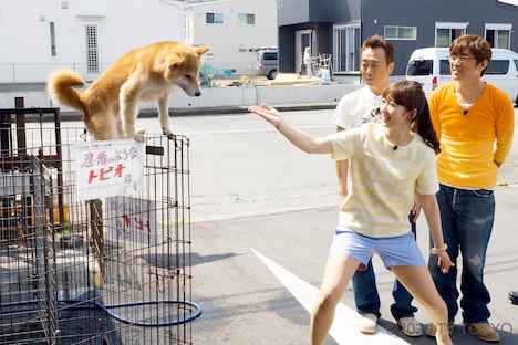 「モヤモヤさまぁ～ず2」BD＆DVD、vol.32の「小田原で超接戦！自転車ハンデ対決」のワンシーン。