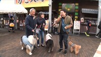 フット岩尾の相席旅のワンシーン。(c)ABCテレビ