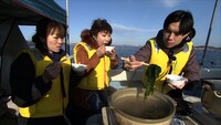 ワカメ狩りに臨んだハライチ岩井（右）。(c)ABCテレビ