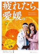 和牛を起用した愛媛県の観光ポスター。