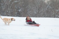 ゆきぽよが北海道で、そり滑りをする場面。(c)HBC