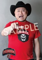 ビジュアルシートのイメージ。