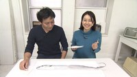 「静岡ありえない海常識」のワンシーン。(c)静岡第一テレビ
