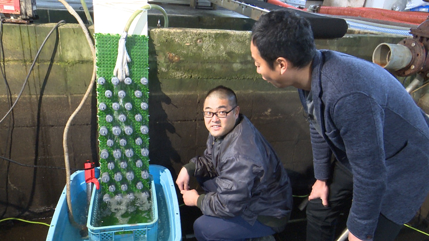「静岡ありえない海常識」のワンシーン。(c)静岡第一テレビ